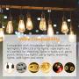 Outdoor Dimmer Switch for String Lights, 1000W Max Power IP68 Waterproof Wireless RF Remote Control Timer Switch, 3 Prong Outlet Plug-in Dimmer for Dimmable LED String Lights Patio Lights