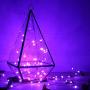 Cocoselected Purple Fairy Lights Plug in,33ft 100 Micro LEDs String Lights Twinkle Lights Remote Control Teen Girls Bedroom Decor Kids Night Light… (Purple 33ft USB)