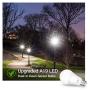 Dusk to Dawn Light Sensor Bulbs, A19 12W(100 Watt Equivalent) LED Auto On Off Light Bulbs, 1200 Lumens, E26 Base, Daylight White 5000K Smart Sensor Lights Outdoor Indoor for Porch Garage Yard, 4-Pack Dusk to Dawn Light Sensor Bulbs, A19 12W(100 Watt Equivalent) LED Auto On Off Light Bulbs, 1200 Lumens, E26 Base, Daylight White 5000K Smart Sensor Lights Outdoor Indoor for Porch Garage Yard, 4-Pack