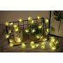 Joyathome Flower Decorative String Lights, 19 Ft 40 LED USB Plug-in Copper Wire Flower Cool White Fairy Lights with Remote Timer for Bedroom Wedding Birthday Party Decoratio (Orange)