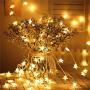 ANJAYLIA 40 LED Star String Lights 20 FT Fairy Christmas Lights Battery Operated for Indoor & Outdoor, Party, Wedding and Holiday Decorations Warm White