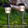 BEAU JARDIN 8 Pack Solar Lights Bright Pathway Outdoor Garden Stake Glass Stainless Steel Waterproof Auto On/off White Wireless Sun Powered Landscape Lighting for Yard Patio Walkway Spike Pathway