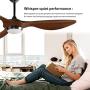 reiga 52-in Ceiling Fan with LED Light Kit Remote Control Modern Blades Noiseless Reversible Motor，6-speed, 3 color Temperature Switch (hand-painted)