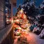 JMEXSUSS Solar String Light 600LED 206.7ft 8 Modes Solar Christmas Lights Waterproof Outdoor Fairy String Lights for Gardens, Wedding, Party, Christmas Tree,Xams,Outdoors (600LED, Multicolor)…