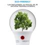 TORCHSTAR 8-Pack LED Dusk-to-Dawn A19 Light Bulb, Photo Sensor Outdoor Bulb, 9W (60W Eqv.), 800lm, 5000K Daylight, CRI 80+, UL & Energy Star Certified, for Porch, Front Door, 3 Years Warranty