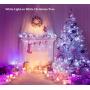 Decute 99 Feet 300 LED Cool White Fairy Christmas String Lights Dimmable with Remote Control, UL Listed Copper String Lights for Party Wedding Bedroom Christmas Tree