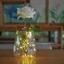 Sanniu Led Fairy Lights, Mini 3AAA Battery Powered Copper Wire Starry Fairy Lights, Battery Operated Lights for Bedroom, Christmas, Parties, Wedding, Centerpiece, Decoration (5m/16ft Warm White)