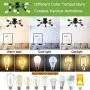 Depuley 8-Light Sputnik Chandeliers Flush Mount, Mid Century Ceiling Bedroom Light Fixtures, Modern Black Ceiling Retro Lamp for Kitchen/ Living Room/Dining Room Lighting, 8X E26 Sockets