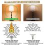 Deitybless 8 Pack E12 Flame Bulbs LED Candelabra Light Bulbs, 1.2 Watt Warm White Chandelier Bulbs, 1800k Candle Light Bulbs, Flame Tip for Christmas Party Decor