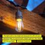 Brightech Ambience PRO LED Energy Efficient 2 Watt Soft White 2700K Dimmable Bulb - Outdoor String Lights – Edison-Inspired Exposed Filaments - 15 Pack - E26 Base