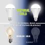 4 Pack Emergency-Rechargeable-Light-Bulb, Stay Lights Up When Power Failure, 1200mAh 15W 80W Equivalent LED Light Bulbs for Home, Camping, Tent (E27, with Hook) (Daylight)