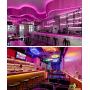 MINGER LED Strip Lights 16.4ft, RGB Color Changing LED Lights for Home, Kitchen, Room, Bedroom, Dorm Room, Bar, with IR Remote Control, 5050 LEDs, DIY Mode