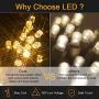 Christmas Outdoor String Lights 2 Pack 82ft 200 LED 9 Modes UL Safe Certified Weatherproof for Christmas Trees, Halloween, Garden, Patio, Wedding, Parties Decor(Warm White)