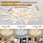 Modern Ceiling Lamps,39.4inch 105W 12 LED Ceiling Light Fixture with Remote Control,Contemporary Peafowl Shape Dimmable LED Lights for Living Room Bedroom Dining Room Kitchen Ceiling