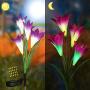 Outdoor Solar Garden Stake Lights, 3Pack Lily Flower Lights Waterproof Solar Landscape Lights, Outdoor Decoration Lights for Garden, Patio, Backyard