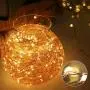 ECOWHO String Lights, 66ft 200 LED Battery Powered Fairy Lights, 8 Lighting Modes, Decorative Warm White Lights for Bedroom, Patio, Garden, Wedding (2 Pack) ECOWHO String Lights, 66ft 200 LED Battery Powered Fairy Lights, 8 Lighting Modes, Decorative Warm White Lights for Bedroom, Patio, Garden, Wedding (2 Pack)