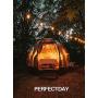 PERFECTDAY Solar String Lights, Shatterproof LED Solar String Light Outdoor G40 Umbrella Lights with 25 Bulbs - 27 Ft Patio Waterproof Lights