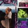 Color Changing Fairy String Lights: 66 Feet 200 Led Waterproof Twinkle Lights with Remote and Plug and 4 Light Modes for Craft Bedroom Ceiling Wedding Christmas 16 Colors