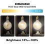 LUTEC Dimmable Edison Glass Pendant Light Industrial Pendant Lighting Black Hanging Light Fixture for Kitchen Bedroom - 700LM 7.5W 2200-5000K Amber Glass Edison Light Bulb