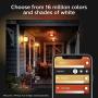 Philips Hue Econic Outdoor White & Color Wall & Ceiling Light Fixture (Hue Hub Required, Works with Alexa, Apple Homekit & Google Assistant)