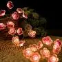 Flower String Lights Fairy Pink Cherry Blossom String Lights, 10ft 30 LEDs Battery Operated String Lights for Kids Girls Bedroom, Christmas, Spring, Nursery, Wedding, Indoor Outdoor Decoration