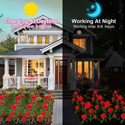 HeyMate Solar Garden Lights Outdoor 2 Pack Solar Red Rose Flower Lights with 10 Rose Flowers Solar Christmas Decorative Lights Waterproof for Backyard,Patio,Pathway,Xmas Decorations