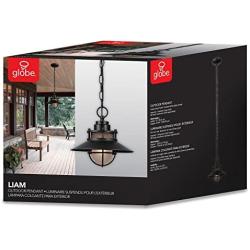 Globe Electric 44166 Liam 1-Light Outdoor/Indoor Pendant, Black, Matte Finish