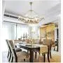 9-Light Living Room Dining Room Bedroom Project Golden Simple Creative Dining Table Glass Bird Chandelier Size: 100 40CM