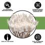 612 Vermont 100 White LED Christmas Lights on a White Wire Cord, UL Approved for Indoor and Outdoor Use, Lighted Length 18.5 Feet, Total Length 20.8 Feet, Connect Up to 27 Sets End to End