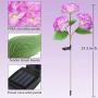 Solar Lights Outdoor Decorative - 2 Pack Hydrangea Solar Garden Stake Lights Waterproof and Realistic LED Flowers Powered Outdoor In-Ground Lights for Garden Lawn Patio Backyard (Purple)