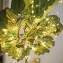 Color Changing Fairy String Lights,Twinkle String Lights USB Plug in, 40Ft 120LEDs 11 Modes Fairy Lights with Remote Timer for Room Wedding Garden Party Craft Bedroom Christmas (Warm White&Multicolor)