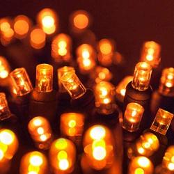 70 5mm Amber LED Christmas Lights, 24 Orange Halloween Lights LED String Lights Halloween Decorations Outdoor Christmas String Lights Mini Lights Outdoor Tree Lights