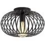 Modern Black Flush Mount Light Fixture Industrial Metal Cage Semi Flush Mount Ceiling Light for Hallway Living Room Kitchen Entryway Farmhouse