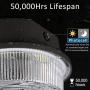 LED Barn Light 50W, SZGMJIA 6500lm Dusk to Dawn Yard Lighting with Photocell,CREE LED 5000K Daylight, 300W MH/HPS Replacement, 5-Year Warranty, IP65 Waterproof for Outdoor Security/Area Light