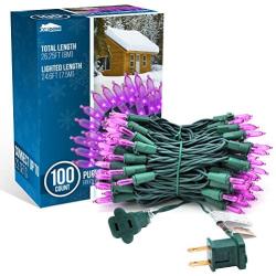 Joiedomi Purple LED Green Wire 100-count Christmas Light, Purple LED Lights for Indoor/Outdoor Christmas Decorations