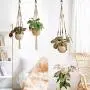 SELEWARE 60 Pieces Q-Hanger, Home Christmas Lights Hanger Hooks with Nails for Easy Release Outdoor Wire and Fairy Light