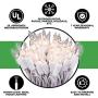 612 Vermont 100 Clear Christmas Lights on White Wire, UL Approved for Indoor/Outdoor Use, 18 Foot of Lighted Length, 20 Foot of Total Length (Pack of 2)
