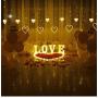 KiflyTooin Curtain Lights Upgrade,176 LED 15-Hearts Lights String,Connectable 8 Flashing Modes Heart Shaped Twinkle Fairy Lights,for Kids Bedroom Wedding Party Valentines Day Mothers Day Decor