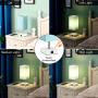 Touch Control Table Lamp,Seealle Teal Aqua Table Lamp with 2 USB Fast Charging Ports,3 Way Dimmable Bedside Nightstand Green Desk Lamp for Bedroom Living Room Office Reading(Bulb Included)