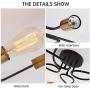 NEWSEE Flush Mount Ceiling Light Fixture Sputnik Chandelier Industrial Bedroom Lighting Fixtures Modern Style for Kitchen Dining Room Living Room Kitchen Hallway Cafe Bar (8 Light)