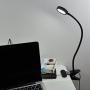 Clip on Light Reading Lights, EYOCEAN Desk Lamps, Eye Protection Kids Desk Lamp with Strong Clamp, Flexible Night Light 3 Modes 9 Dimming Levels(Included AC Adapter) Black