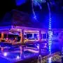 JMEXSUSS 8 Modes Solar Powered Light Rope,39.4ft 120LED Outdoor Solar Rope Lights, Waterproof Solar LED Christmas Light for Garden, Fence, Patio, Yard, Wedding, Christmas,Halloween (Blue) JMEXSUSS 8 Modes Solar Powered Light Rope,39.4ft 120LED Outdoor Solar Rope Lights, Waterproof Solar LED Christmas Light for Garden, Fence, Patio, Yard, Wedding, Christmas,Halloween (Blue)
