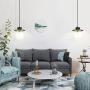 Industrial Pendant Light with Plug in Cord,Black Hanging Lamp with Clear Glass Shade for Office Kitchen Island Dining Room(1 Light)