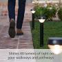 Ring Solar Pathlight -- Outdoor Motion-Sensor Security Light, Black (Ring Bridge required)