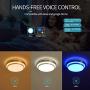 Smart Ceiling Light LED Ceiling Light for Bedroom,RGB Multicolor LED Bed Room Lamp Compatible with Alexa Echo Google Home Siri Dimmable Voice Remote Control Light Fixture for Living Room,13''18W