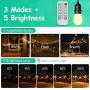 54FT LED Outdoor Patio String Lights with Dimmer Remote Control, 17 Shatterproof Bulbs, 5 Brightness, IP65 Waterproof lights for Cafe, Party, Porch