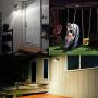 Ollivage Battery Motion Sensor Lights, 600 Lumens Wireless LED Security Wall Spotlight for Driveways, Gardon, Yard, Walkways and Stairs, 1 Pack