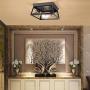 HMVPL Industrial Close to Ceiling Light, Farmhouse Light Fixtures Flush Mount Lighting Mini Ceiling Lamp 2-Light for Kitchen Island Dining Room Bedroom Foyer Hallway