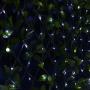 String Lights, CrazyFire LED Fairy String Light 33ft 100 LEDs Waterproof Decorative Starry Lights for Bedroom, Patio, Parties (Copper Wire Lights, Cool White)