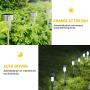 Solar Lights Outdoor, 12Pack Stainless Steel Outdoor Solar Lights - Waterproof, LED Landscape Lighting Solar Powered Outdoor Lights Solar Garden Lights for Pathway Walkway Patio Yard & Lawn-Cool White